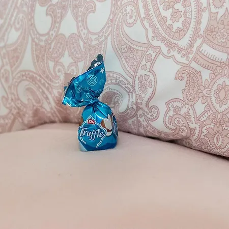 Helena With View On St. Stephan's Basilica 아파트 *